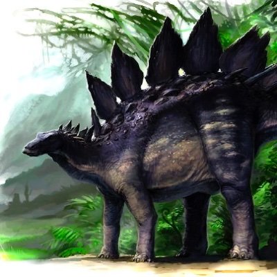 NomadicAllo's profile picture