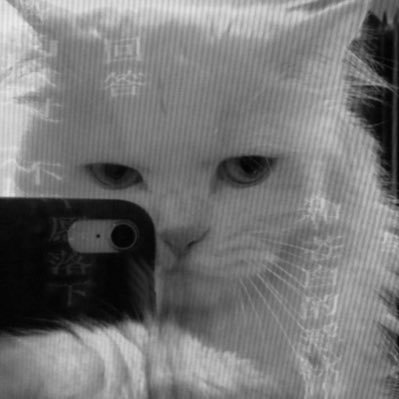 blanc's profile picture