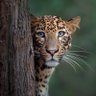Earth: Our Beautiful Natural World 🌍's profile picture