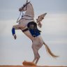 عبود profil fotoğrafı