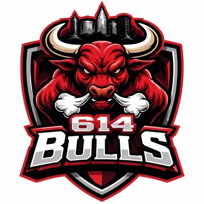 614bulls_'s profile picture