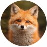 Adam Einstein profil fotoğrafı