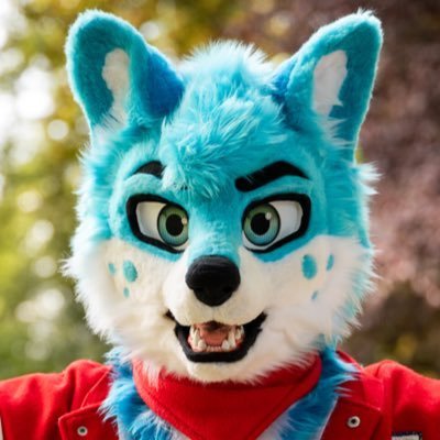 ❄️ ꜱɪʟᴏ ᴛʜe ꜰᴏx 🔜 NFC ❄️'s profile picture