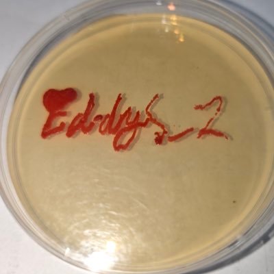 Ed___z11's profile picture