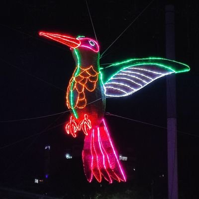 Lunareja's profile picture