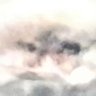 Profilbild von ゆき🌐