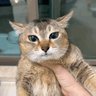 pixhello's profile picture