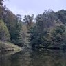 Фото профиля ark2