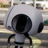 Bobert 6b's profile picture