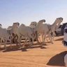 تركي المطيري 的头像