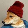 c h a s e's profile picture