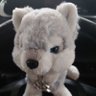 もんきち🐺🍑🦁's profile picture