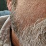 Mandibular's profile picture
