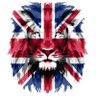 Фото профиля Shaky ✝️🇬🇧⚒️