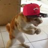 Charles's profile picture