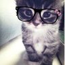 Profilbild von lili_luv