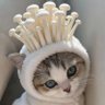 Sybilla's profile picture