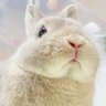 maru gennki's profile picture