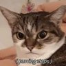 Roxy MeanFem's profile picture