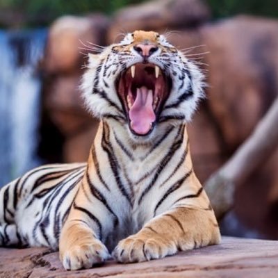 BoongV2's profile picture