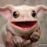 Profilbild von Stinky