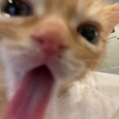 im_muuu_'s profile picture