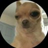 Profilbild von KeomiDaGoddess
