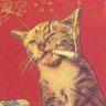 Woyal's profile picture
