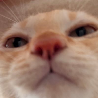 พอจอ 𑣲ˏ's profile picture