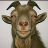 Profilbild von The Real Goat