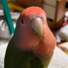 みっちぇる🤍's profile picture