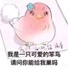 盖伦qer's profile picture