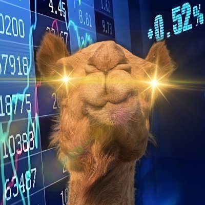 Camel Finance YT โก๏ธ's profile picture