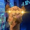 Фото профиля Camel Finance YT ⚡️