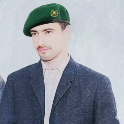 Akhoondelooti's profile picture