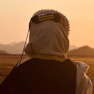 Abo Sheikha || أبو شيخة's profile picture