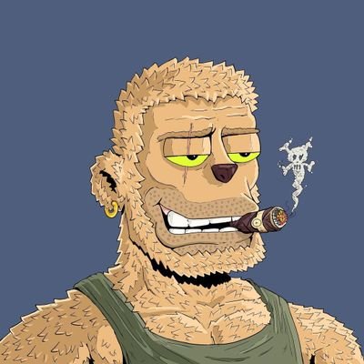 Ayo's profile picture