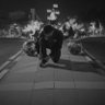 Фото профиля REVANZA