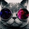 aliveli's profile picture
