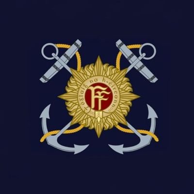 Irish Naval Service's profile picture