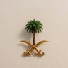 Profilbild von SAUD