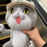Profilbild von はる