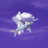 FLYing🐟 profil fotoğrafı