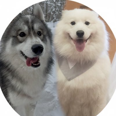 SKI&POW's profile picture