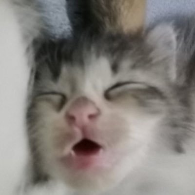 けん's profile picture