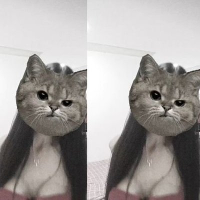 rd5963361's profile picture