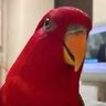 Profilbild von 🪽🇪🇸Pájaro ROJO ❤️ 🇮🇨🇿🇦🍉✳️✳️✳️✳️✳️✳️✳️✳️