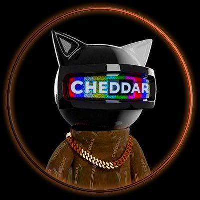 Cheddar_tweets's profile picture