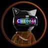 CHEDDAR👑 的头像
