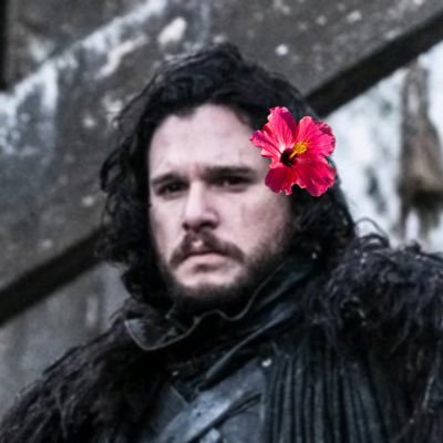 lili_island's profile picture